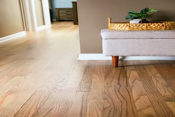 Refinished hardwood floor with rich sheen